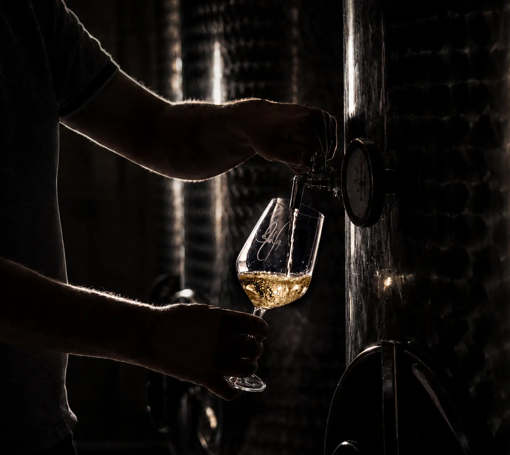 Točenje belega vina iz cisterne v kleti Štolfa