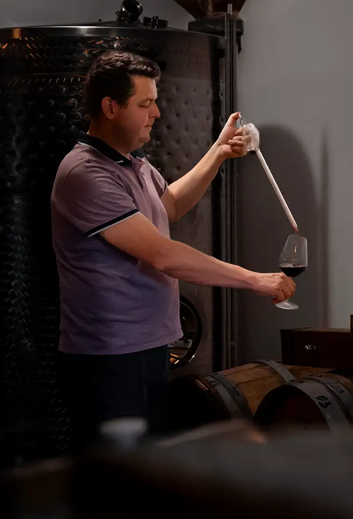 Vinar pri pokušini vina iz cisterne v kleti