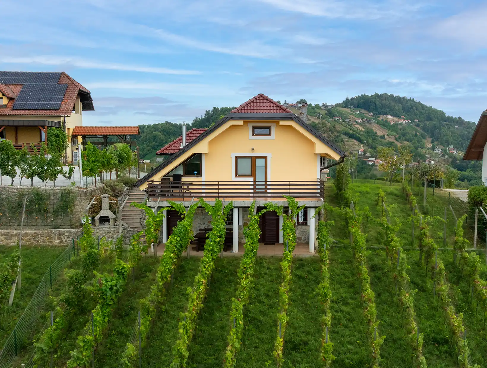 Zidanica Urban sredi vinograda