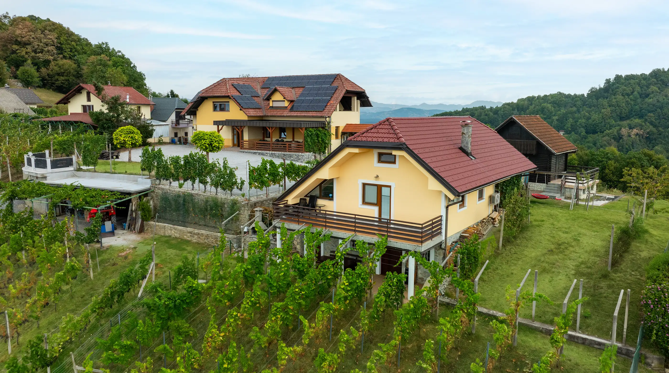 Pogled na posest Štolfa z zidanico Urban med vinogradi